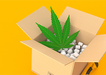 大麻包装業界は、2025年までに約204億1000万米ドルの市場価値に達すると予想されています