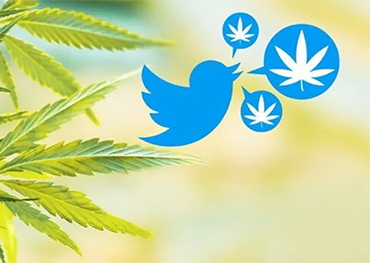 ツイッターが大麻広告を許可