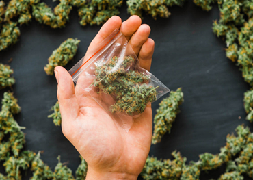 グローバル大麻包装市場レポート2021