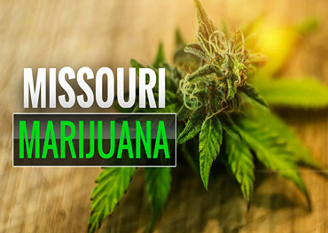 Missouri’s cannabis regulators detail plans for licensing microbusinesses