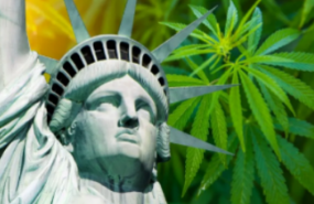 大麻のベテラン投資家、ニューヨーク市場の開放は「軌道修正」だと語る
    