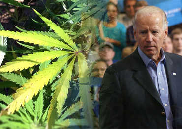 選挙後 ジョー ビデン おそらく連邦政府による大麻の合法化を促進している