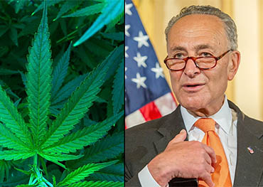 連邦大麻の合法化が！uに近づいています。 NS。上院民主党は雑草を合法化するために法案を展開する