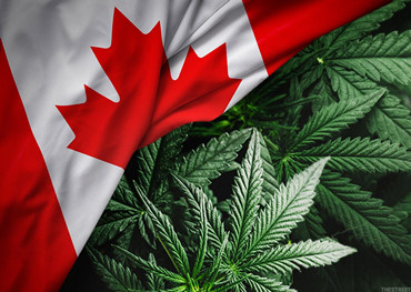 カナダの大麻市場