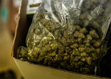 ニューヨーク市議会の法案は、アダムズ政権に定期的に大麻取締りデータを開示することを義務付ける